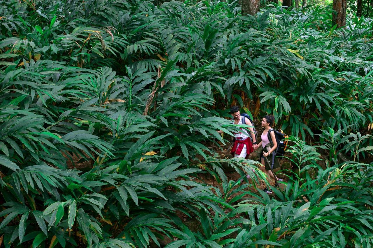 Fragrant Nature Munnar - A Five Star Classified Hotel מראה חיצוני תמונה
