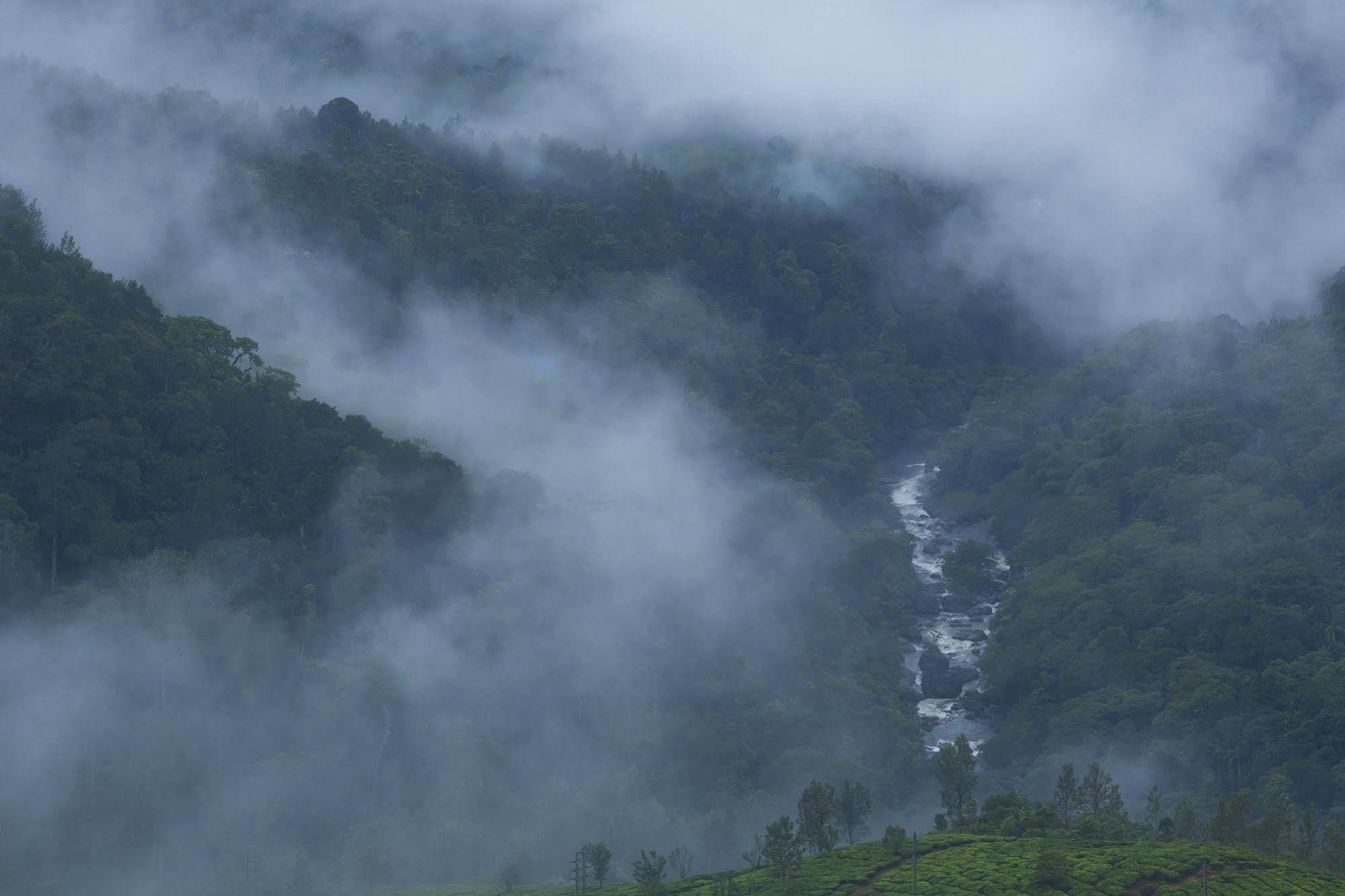 Fragrant Nature Munnar - A Five Star Classified Hotel מראה חיצוני תמונה